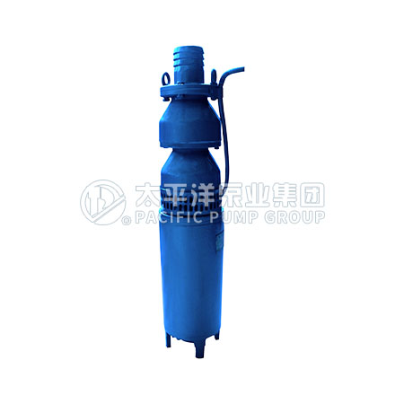 QS型充水�袷��水泵